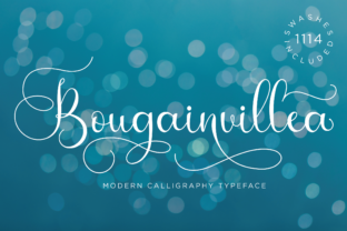 Bougainvillea Script Font for Modern Branding