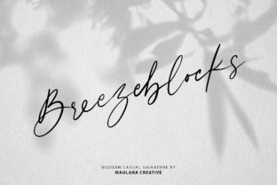 Breezeblocks Font: Authentic Script for Small Business Branding