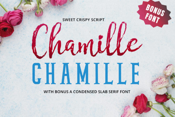 Chamille Script Font for Organic Social Media Branding