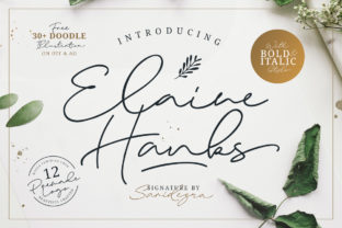 Elaine Hanks Font: Authentic Script for Web Design