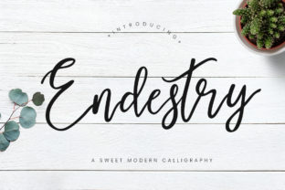 Endestry Font: Modern Calligraphy for Campaign Visuals